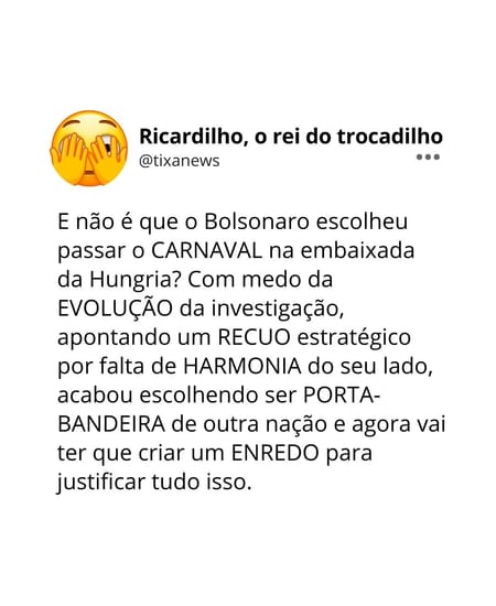 Ricardilho e a embaixada